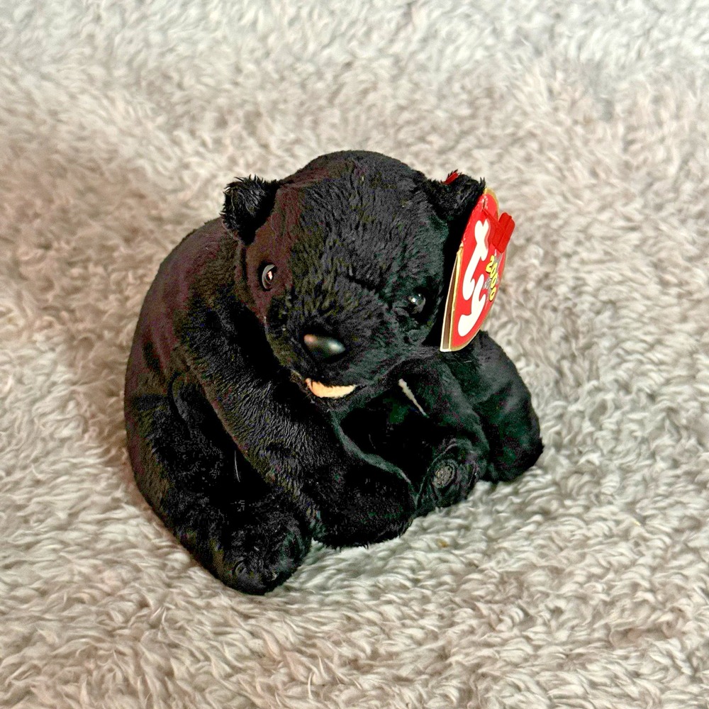 Ty Beanie Babies Cinders Plush Black Bear Vintage Stuffed Animal Toy